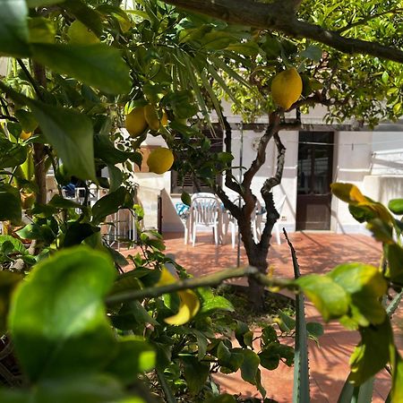 דירות סן ויטו לו קאפו Casa Ciccio מראה חיצוני תמונה
