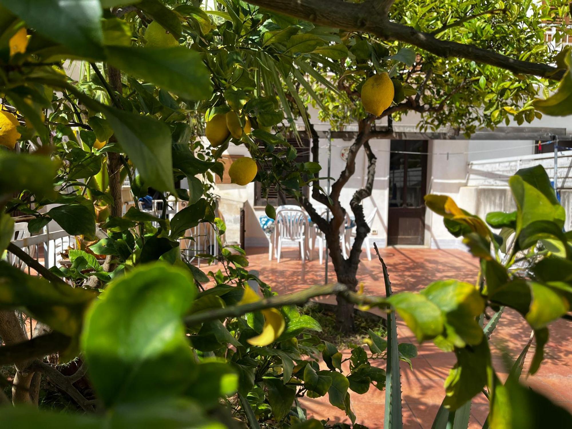 דירות סן ויטו לו קאפו Casa Ciccio מראה חיצוני תמונה